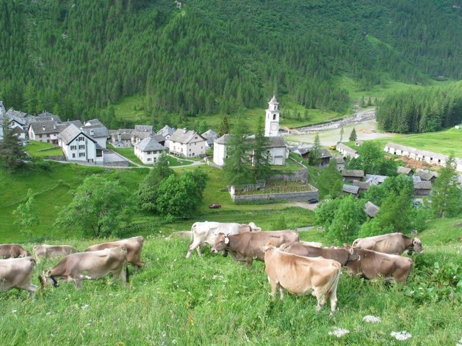 Casa Di Vacanza Giovanibosco ภายนอก รูปภาพ